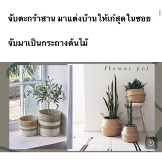 🌿Flower Pot กระถางต้นไม้จักสาน กระถางต้นไม้ผักตบชวา งานจักสานตกแต่งบ้าน  ตะกร้าผักตบชวา ตะกร้าสาน  อุปกรณ์ตกแต่งบ้าน