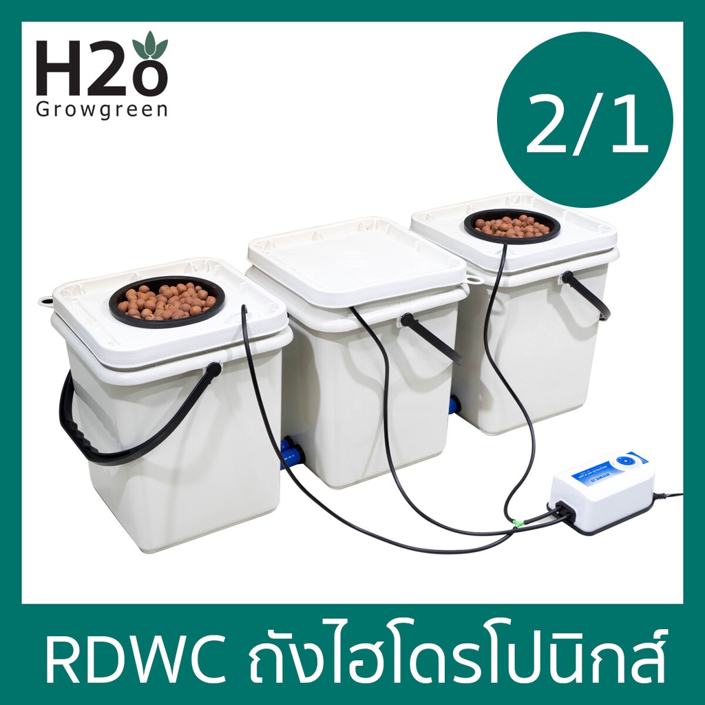 🔥แนะนำ! ดีจริง!🔥ราคาสุดคุ้ม ถังไฮโดรโปนิกส์ 2/1 ถัง ชุดพร้อมปลูก RDWC Hydroponics bucket ถังปลูกพืชไ