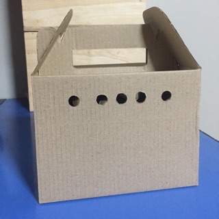 กล่องแพ็คสัตว์เล็กเลี้ยง ขนาด 10.5×15×11.5cm. ใช้ใส่หนู,เม่นแคระ,กระรอก