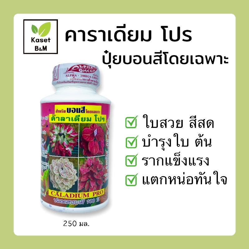 ปุ๋ยบอนสี คาลาเดียม โปร 250cc. ใบสวย สีสด เร่งการเจริญเติมโต เพิ่มความสมบูรณ์