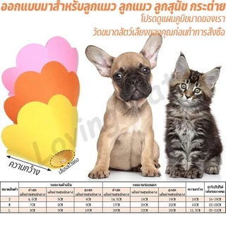 🐱 ปลอกคอกันเลีย คอลล่าแมว ปลอกคอป้องกันรอยขีดข่วนและป้องกันการเลีย ปลอกคอสัตว์เลี้ยง