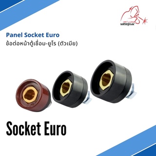 ข้อต่อหน้าตู้เชื่อม-ยูโร (ตัวเมีย) Panel Socket Euro แบรนด์ Weldplus (เวลพลัส)