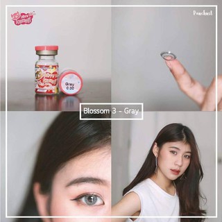 Blossom 3 Gray (1)(2) บิ๊กอาย สีเทา เทา ตาฝรั่ง Kitty Kawaii Bigeyes คอนแทคเลนส์ ค่าอมน้ำสูง สายตาสั้น ค่าสายตา Blossom3