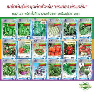 เมล็ดพันธุ์ ผักเคียง ผักแกล้ม เจียไต๋ ตราเครื่องบิน ผักสวนครัว เมล็ดผัก เมล็ดพันธุ์พืช เมล็ดผักสวนครัว เมล็ดพันธุ์ผัก AK