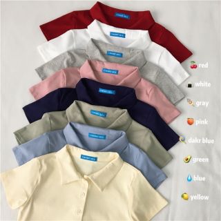 🍎 เสื้อคอปก🍎พร้อมส่ง 8 สี (1289)