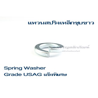 แหวนสปริงเกรดแข็ง เหล็กชุบ (Coated Steel Spring Washers) แหวนสปริง