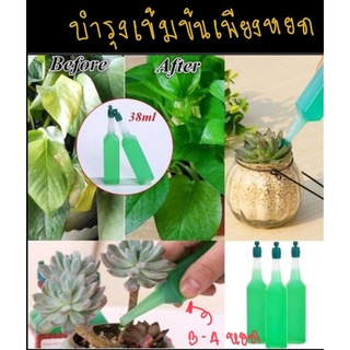 ปุ๋ยน้ำ Hydroponic ฟื้นฟูต้นไม้ เร่งราก บำรุงใบให้เขียวสดใสภายใน1อาทิด ชุด5ขวด