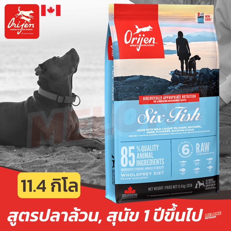 Orijen Six Fish อาหารสุนัข ซุปเปอร์พรีเมี่ยม โอริเจน สำหรับสุนัข 1 ปีขึ้นไป ขนาด 11.4 kg