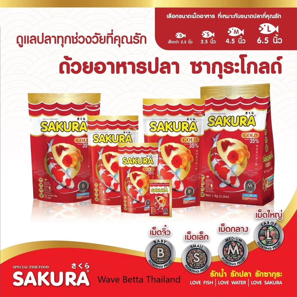 SAKURA GOLD เม็ด จิ๋ว+S+M ขนาด 50g. 100g. 250g. (อาหารปลาสวยงาม สูตร 3 สี เร่งสี เร่งโต น้ำไม่ขุ่น)