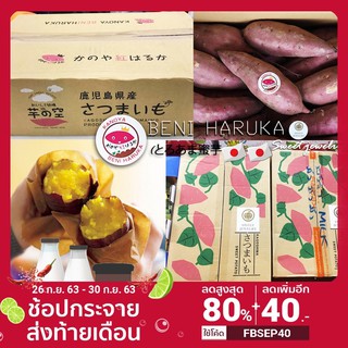 Beni Haruka (Import from japan)100% มันหวานญี่ปุ่น 5 กิโลกรัม