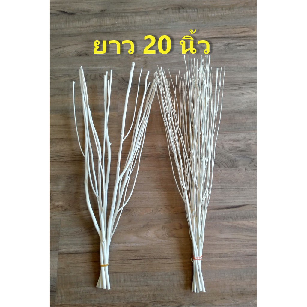 กิ่งไม้แห้งสีขาว ถูกที่สุด พร้อมโปรโมชั่น ธ.ค. 2022|Biggoเช็คราคาง่ายๆ