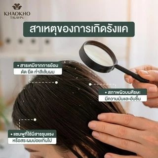Khaokho Talaypu เขาค้อทะเลภู แชมพู สูตร Cooling & Balancing ขจัดรังแค เย็นสดชื่น (240 มล.)