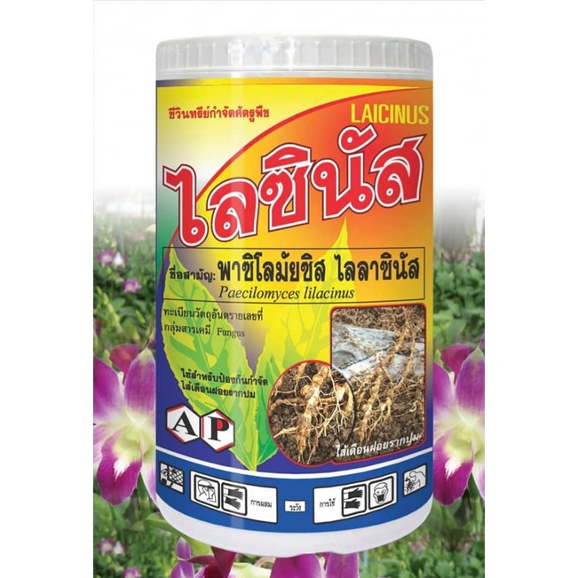 ไลซินัส น้ำหนัก 1 กก.ชีวภัณฑ์ ป้องกัน กำจัดศัตรูพืชหลายชนิด หอยทาก เพลี้ยหอย ไส้เดือนฝอย ไข่หนอน