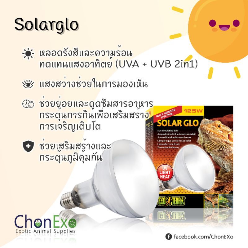 พร้อมส่ง)Exoterra หลอดไฟเลี้ยงสัตว์ SolarGlo ( 80w , 125w , 160w ) (หลอดไฟ  UVA+UVB) | Shopee Thailand