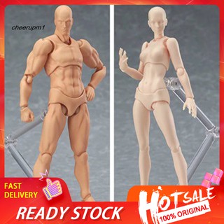 CHE_Drawing Sketch Male Female Movable Doll Action Artist Figure Archetype Body