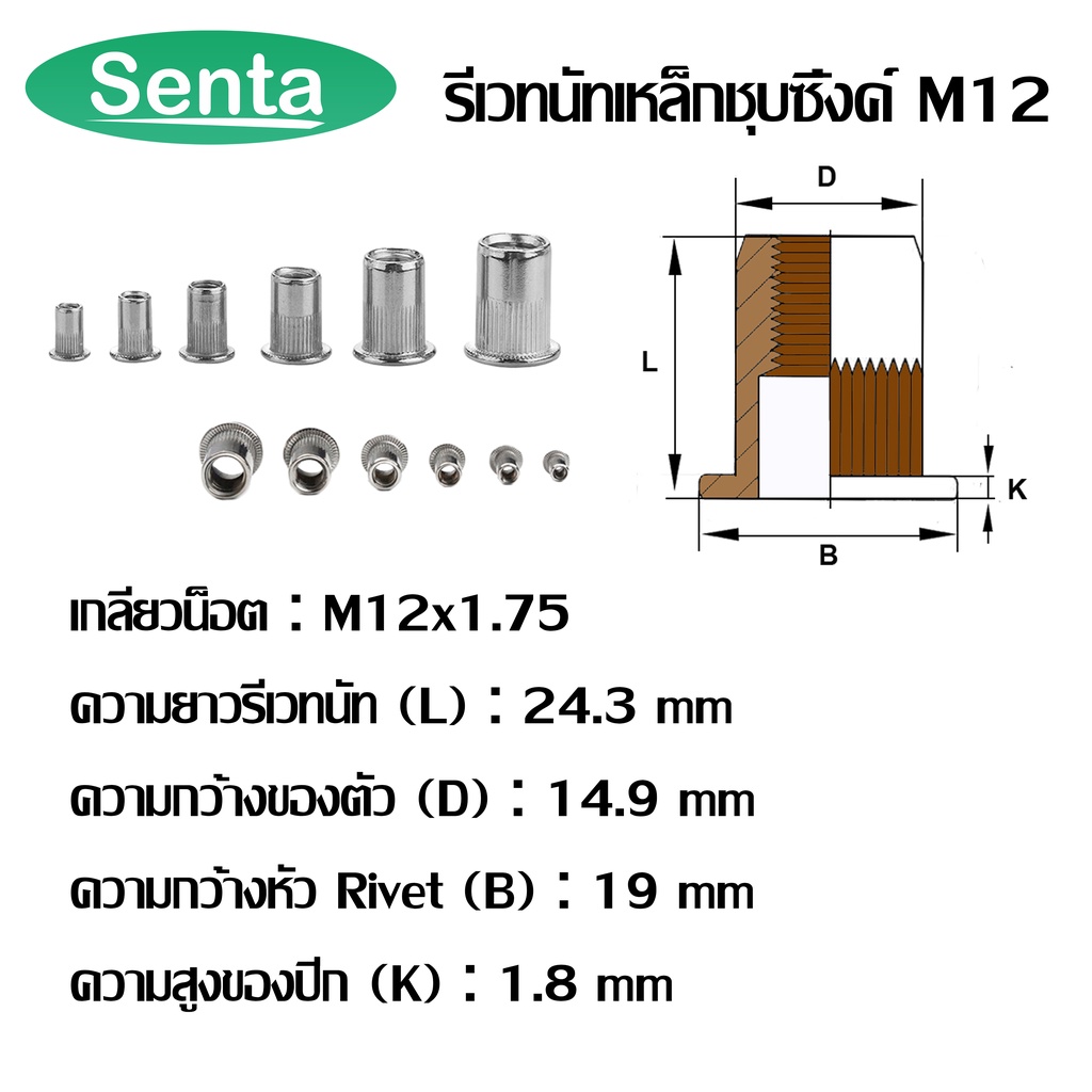 รีเวทนัท รีเวทนัทเหล็กชุบซิ้งค์ M3 M4 M5 M6 M8 M10 M12 สำหรับสกรู (STEEL RIVET NUT ZINC PLATED) ลูกรีเวท รีเวท ราคา ถูกที่สุด ดีลบีเคเค แกลเลอรีภาพที่ 9