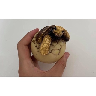 Galapagos tortoise egg Resin