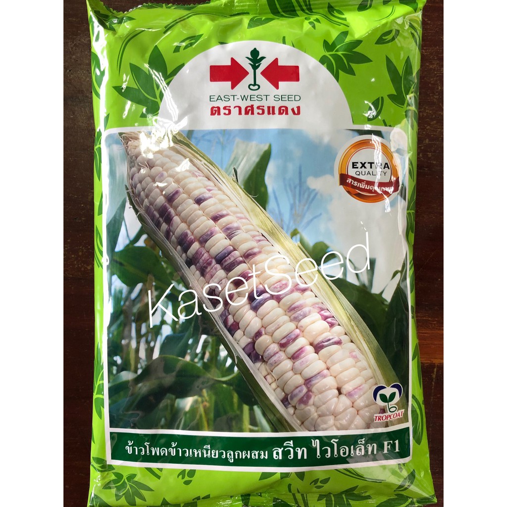 เมล็ดพันธุ์ ข้าวโพดข้าวเหนียว สวีท ไวโอเล็ท ศรแดง ข้าวโพด 1กก