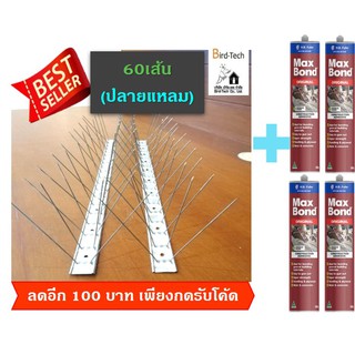 อุปกรณ์​ป้องกันนก ไล่นก Bird spike ฐานอลูซิงค์​ ➡️ปลายแหลม⬅️ 60 เส้น แถม กาว 4 หลอด