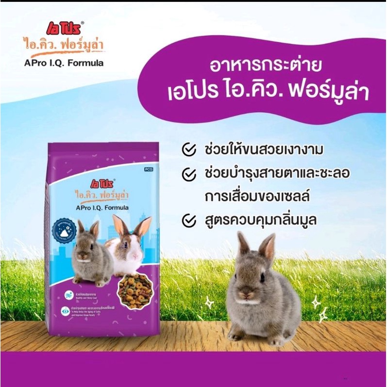 อาหารกระต่าย เอโปร ไอคิว ฟอร์มูล่า Apro IQ สูตร 3 mix ถุงม่วง ขนาด 1 กก.