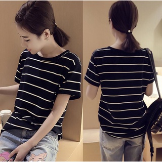 เสื้อยืดลายขวางยอดนิยม รหัส 1813