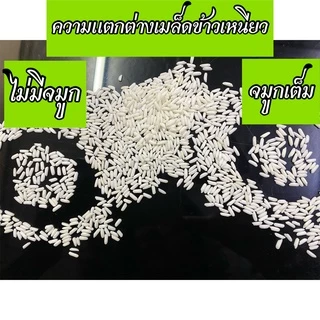 ข้าวเหนียวเขี้ยวงู ตราระฆังจ้าว 15 kg