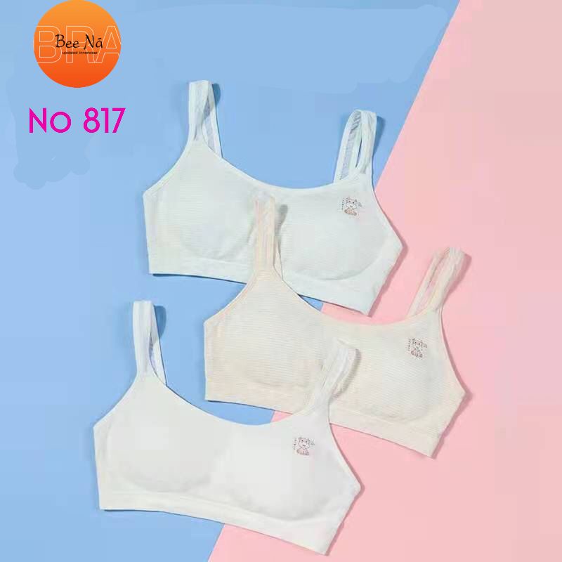 เสื่อซับเด็ก​ Beena​ no817