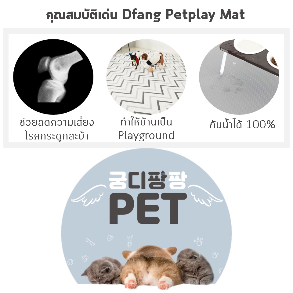 Dfang Pet Play Mat Corridor Type - Cotton Grey แผ่นกันลื่นสำหรับสัตว์เลี้ยง non-slip mat ขนาด 3x60*70*0.5 cm.
