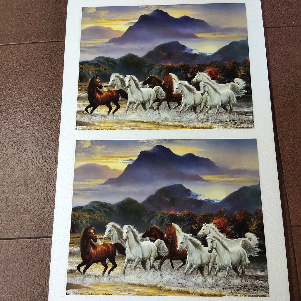 (ได้2ภาพ) ภาพเปล่า ม้า 8 ตัว ม้าสีหมอก 16x20 นิ้ว (40x50ซม.) ม้า เป็นสัญลักษณ์ ของความกล้า ความขยัน ความรวดเร็ว ว่องไว