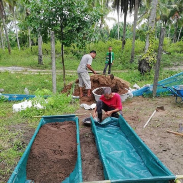 แปลงกระบะปลูกผักแสนดี ขนาด 60x200x30 cm ของแท้จากโรงงาน ไม่รวมโครง