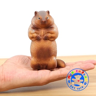 Munich Play - มาร์มอต - Marmot แดงอ้วน ขนาด 11.00 CM (จากหาดใหญ่)