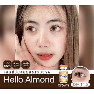 Montra ( Hello almond brown )ตาโต