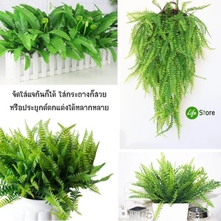 ช่อเฟิร์นหลากชนิด ต้นไม้ประดิษฐ์ สวยงามเสมือนจริง (พร้อมส่งในไทย ถึงเร็วทันใจ)