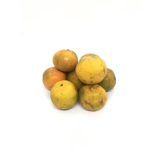 🍊ส้มสายน้ำผึ้ง [👍ใช้คั้นน้ำ 💲เบอร์ลาย] ขอคนเข้าใจส้มเบอร์ลาย - ส้มสำหรับคั้นน้ำขาย