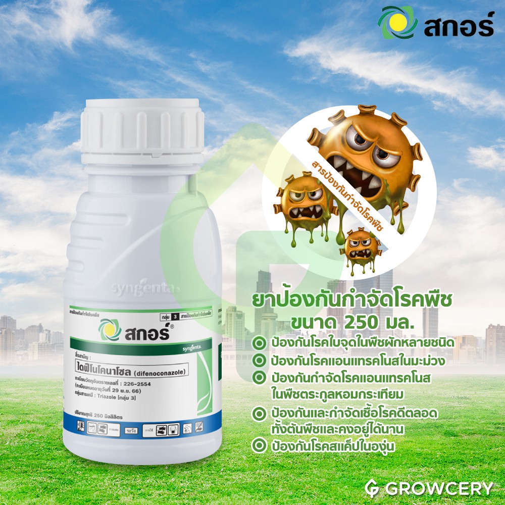 [G] สกอร์ สารป้องกันกำจัดโรคพืช ขนาด 250 มล. ยี่ห้อ สกอร์ (ป้องกันกำจัดโรคแอนแทรคโนส) โดย GROWCERY