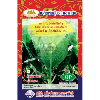 เมล็ดพันธ์ุ ผักสวนครัว คะน้ายอดคัดพิเศษ แซมซั่น 98 10 กรัม/ซอง ตราภูเขาทอง