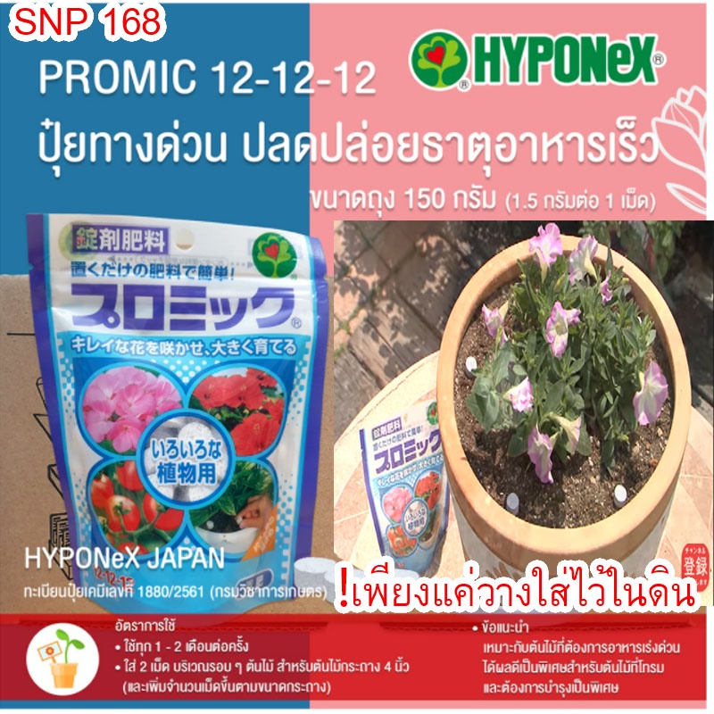 HYPONeX Promic 12-12-12 บำรุงต้น ราก ใบ ปุ๋ยเม็ดกระดุมละลายช้า 2 เดือนจากญี่ปุ่น 150 g