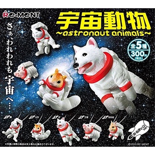 (ยกชุดพร้อมส่ง) Re-ment รีเมนท์สัตว์นักบินอวกาศ Astronaut Animals โมเดลสัตว์