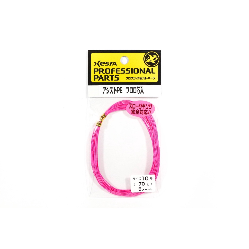 Xesta Assist P.E Line Fluorocarbon Core