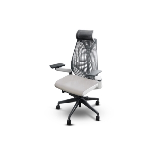 Bewell Ergonomic chair Embrace เก้าอี้เพื่อสุขภาพ สวย ทันสมัย ซัพพอร์ตการนั่งถูกหลักอย่างแท้จริง รับน้ำหนัก 150 kg.