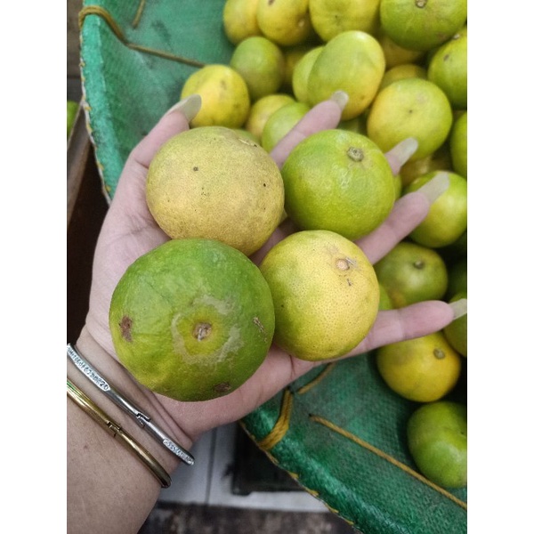 มะนาวเหลืองลูกใหญ่(แป้นบ้านแพ้ว)