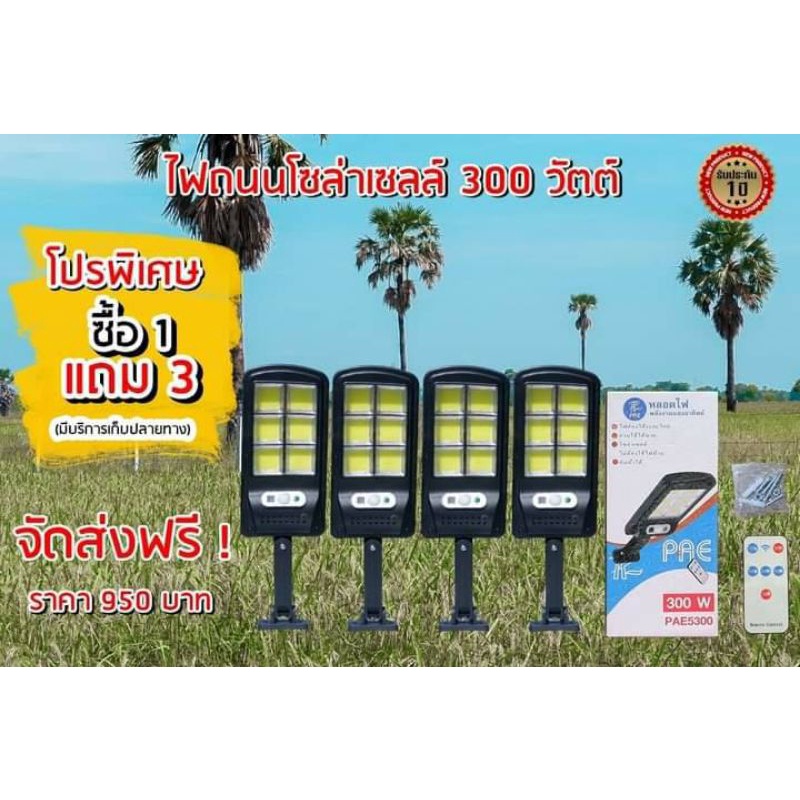 bklไฟโซล่าเซล​ล์​  300w