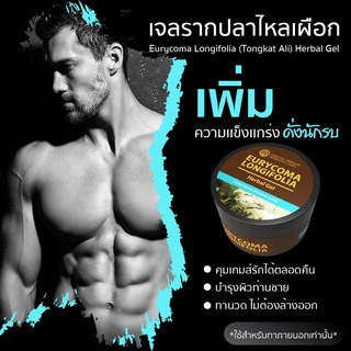 เจลนวดท่านชาย เจลรากปลาไหลเผือก (Eurycoma Longifolia (Tongkat Ali) Herbal Gel) ขนาด 50 กรัม