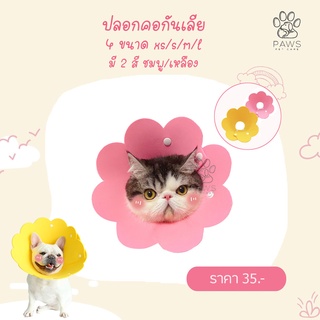 Pawspetcare🐾คอลล่ากันเลียดอกไม้สุดน่ารัก ลำโพงแมว ลำโพงกันเลีย คอลล่า ที่กันเลีย ปลอกคอแมว ปลอกคอสุนัข