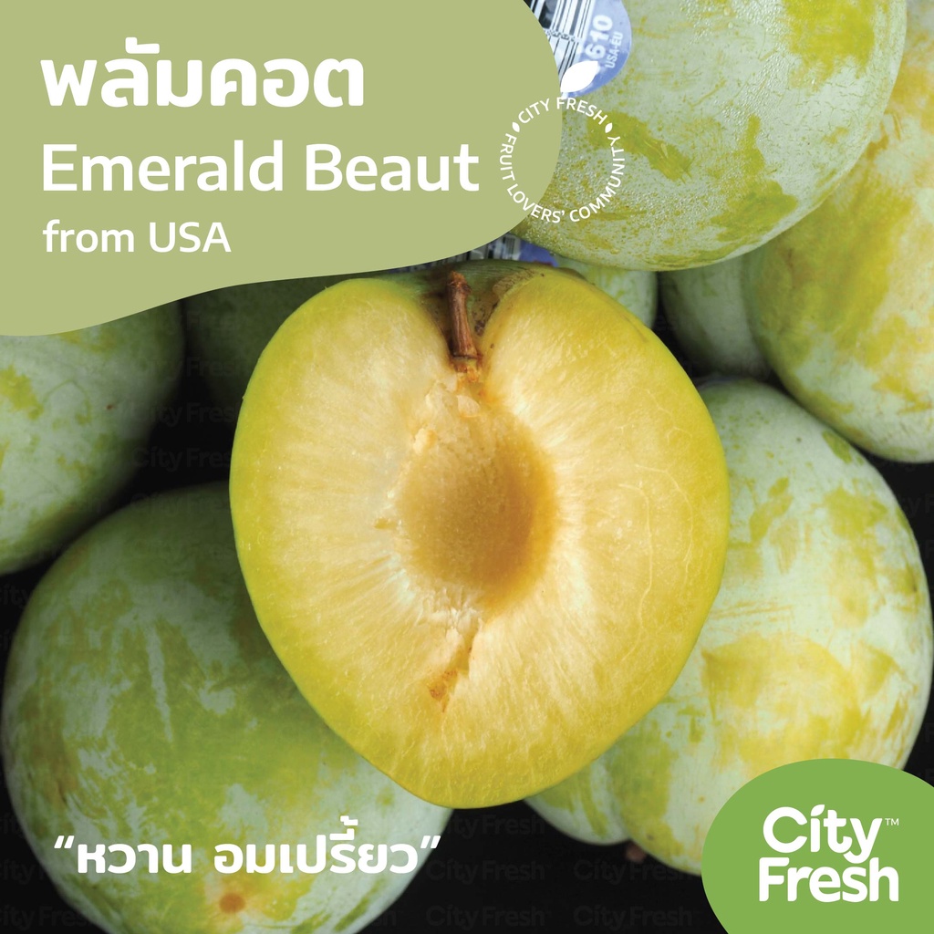 CityFresh พลัมคอต Emerald Beaut ผลไม้นำเข้า cityfreshfruit ThaiPick