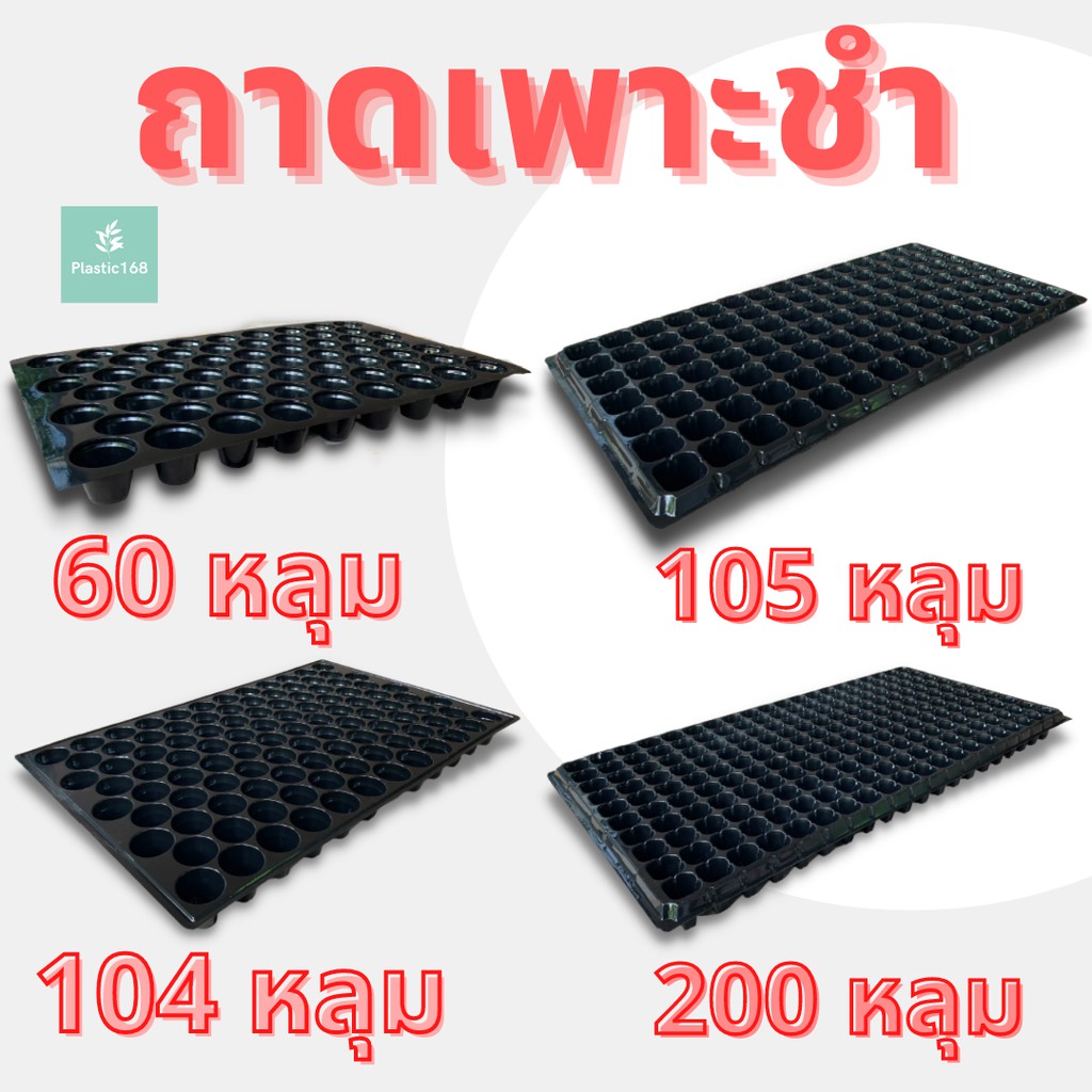 ถาดเพาะกล้า ต้นอ่อน เพาะชำเมล็ด ถาดเพาะปลูกผัก 60 หลุม 104 หลุม 200 หลุม
