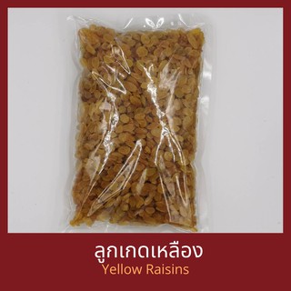 ลูกเกดเหลือง 250 กรัม 500 กรัม 1 กิโลกรัม  Yellow Raisin 250 g, 500 g, 1 kg