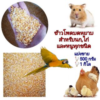 ข้าวโพดบดหยาบ ข้าวโพดป่น ข้าวโพดนก ข้าวโพดไก่ ข้าวโพดหนู (500กรัม)