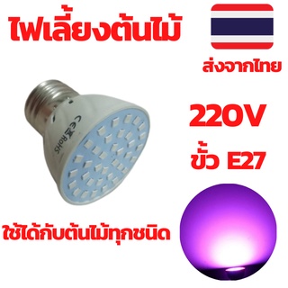 ไฟเลี้ยงต้นไม้ ไฟปลูกต้นไม้ led  led grow ไฟปลูกพืชในร่ม หลอดไฟเลี้ยงต้นไม้