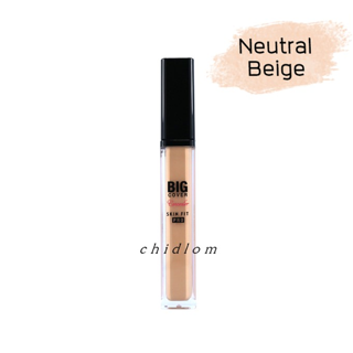 Etude House Big Cover Skin Fit Concealer Pro 7g. คอนซีลเลอร์เนื้อเนียน คอนซีลเลอร์ ปกปิด หน้าเนียน อีทูดี้คอนซีลเลอร์